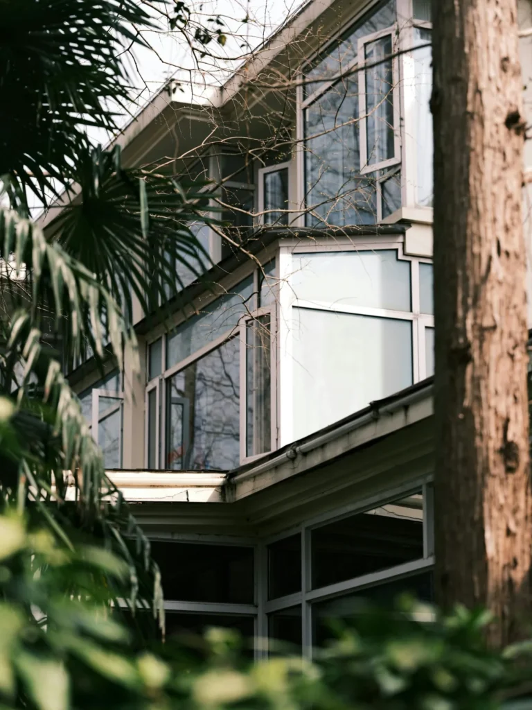 Modern home with large windows surrounded by greenery